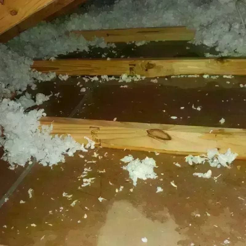 Attic Water Damage in Hanson, MA